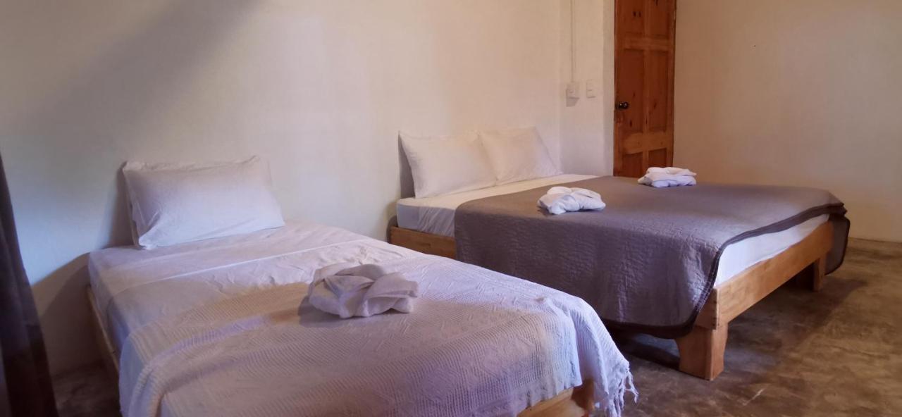 Armadillo Eco Bungalows Playa Santa Teresa  Esterno foto