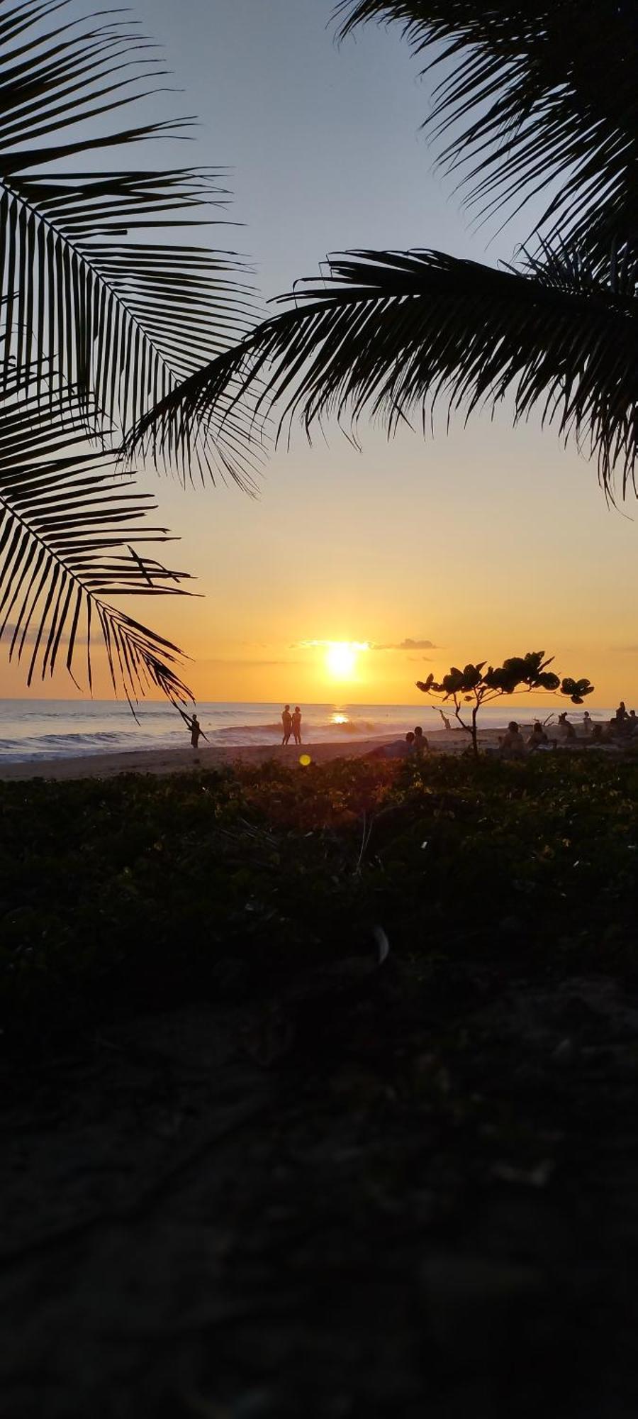 Armadillo Eco Bungalows Playa Santa Teresa  Esterno foto