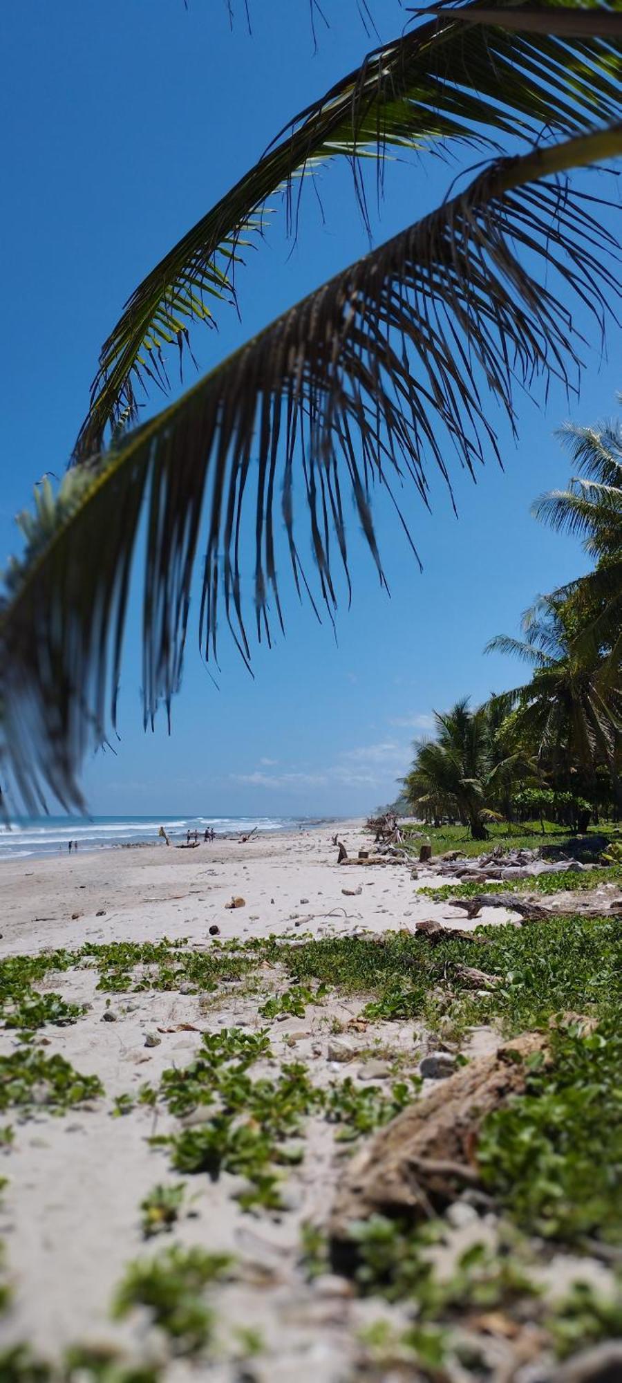 Armadillo Eco Bungalows Playa Santa Teresa  Esterno foto