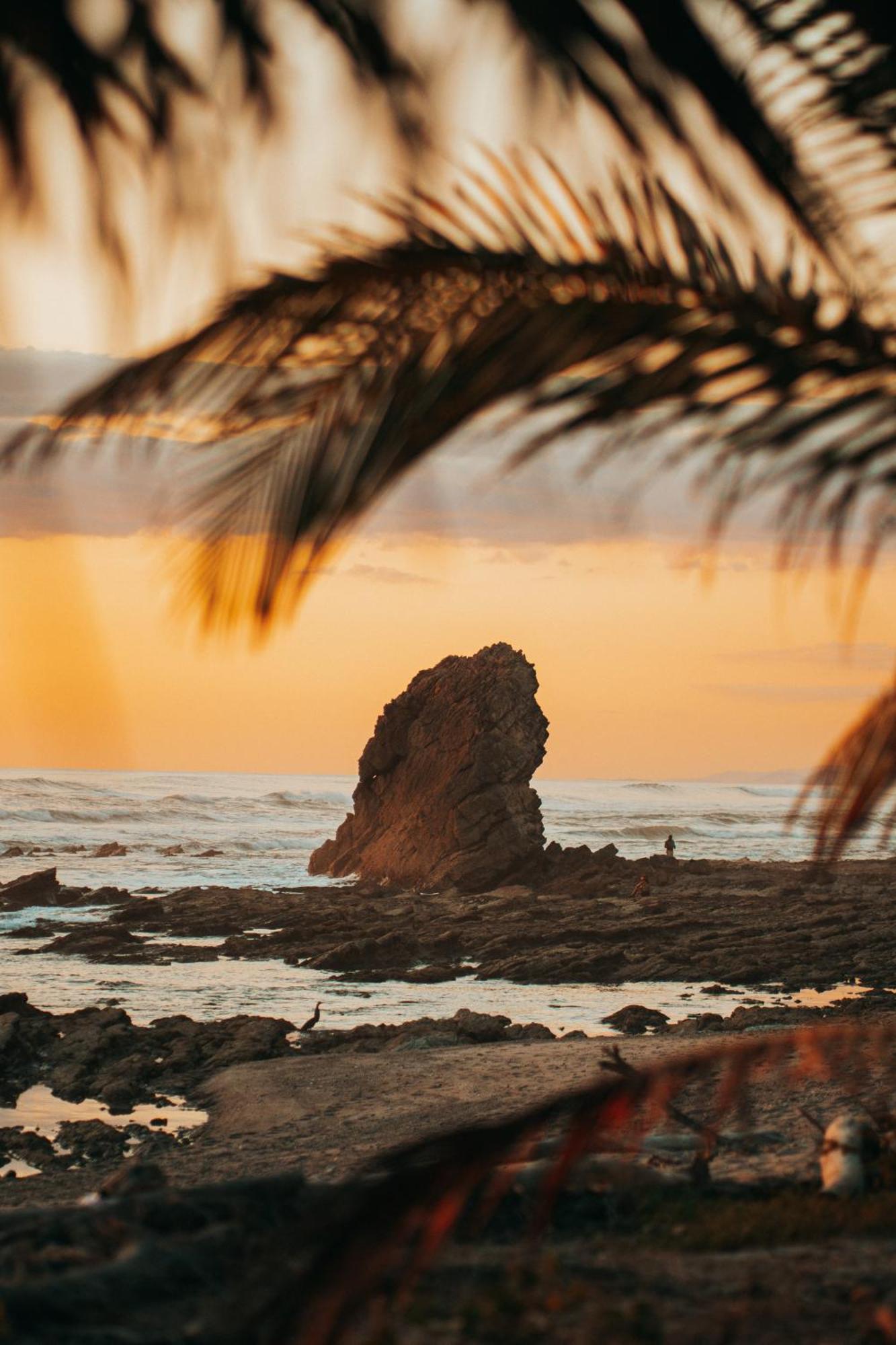 Armadillo Eco Bungalows Playa Santa Teresa  Esterno foto